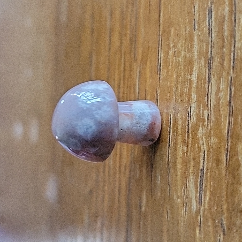 Flower agate mushroom